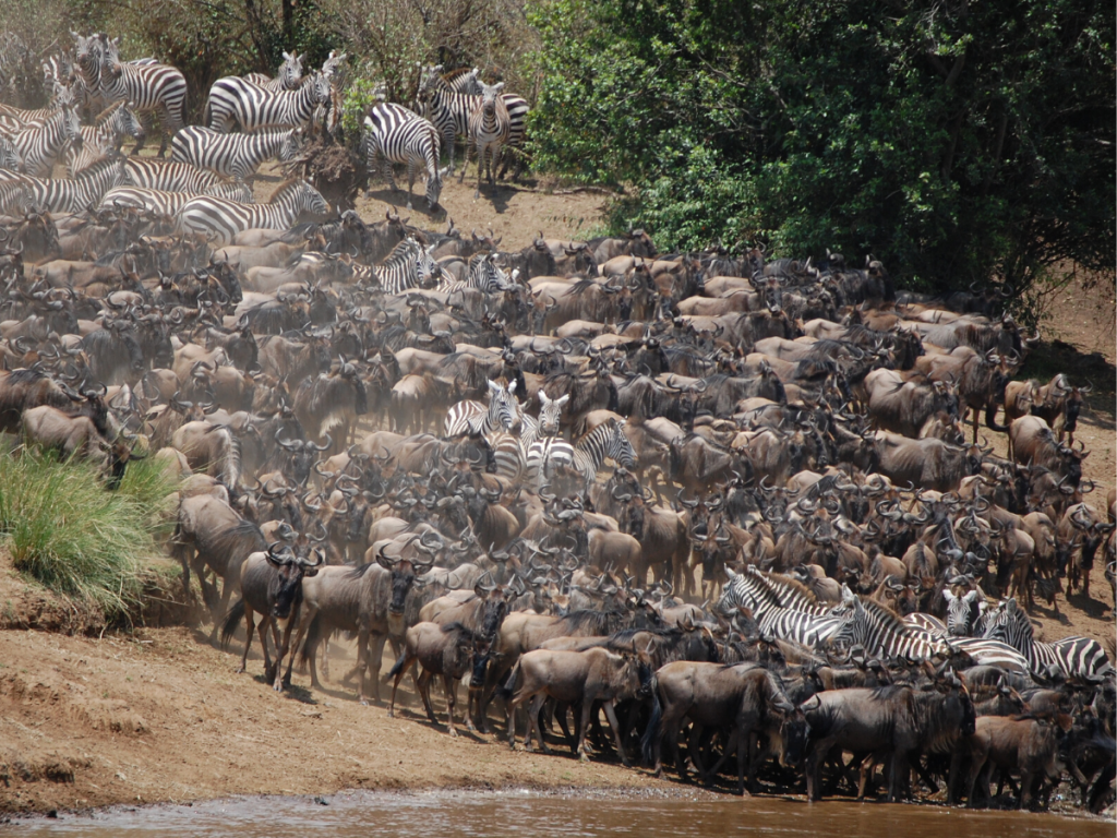 great migration