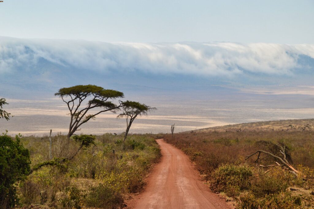 Ngorongoro crater