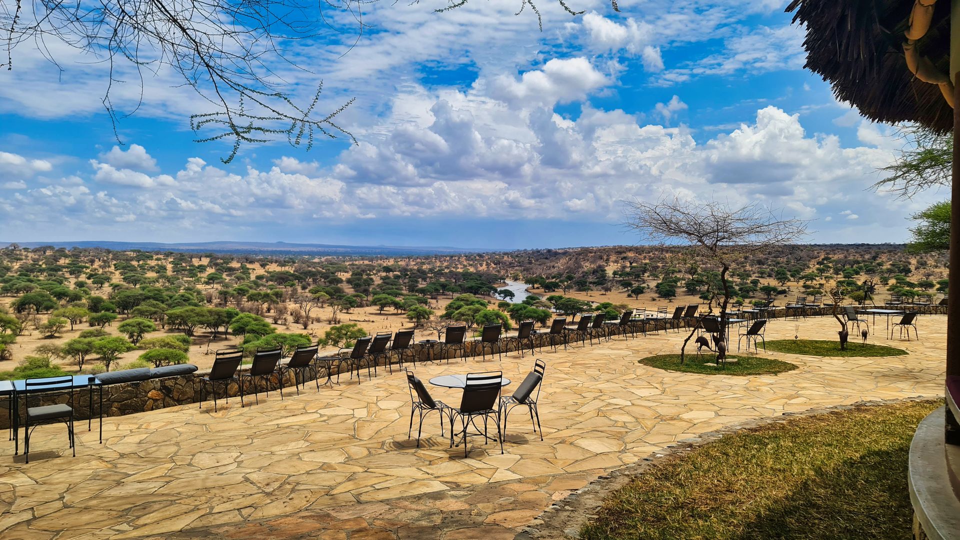 Tarangire river view