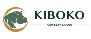 Kiboko Odyssey Safari