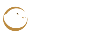 Kiboko Odyssey Safari