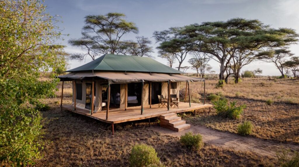 Baobab serengeti
